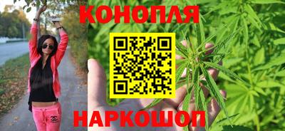 прущие крисы Моздок