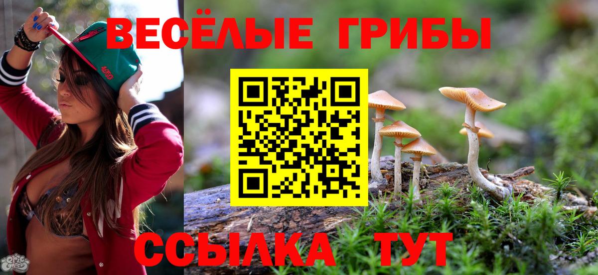 Галлюциногенные грибы Magic Shrooms Троицк