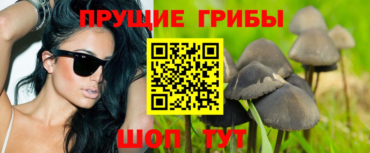 Троицк  Псилоцибиновые грибы мицелий  Вход с VPN  Псилоцибиновые грибы прущие грибы 